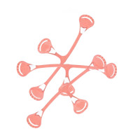 Klamerka Snappi Original by XKKO - Peach (3pack)
